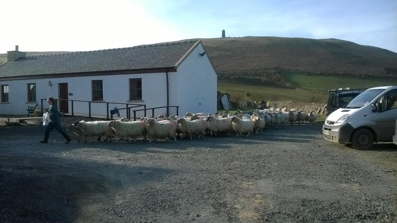 Bed and Breakfast Knockaloe Beg Farm Patrick Экстерьер фото